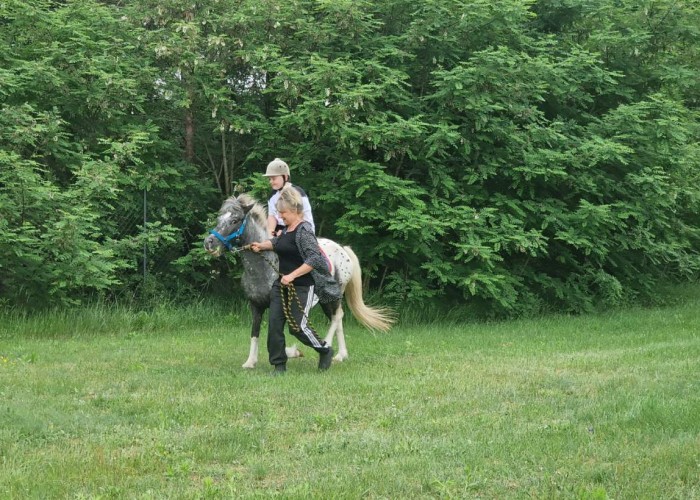 Zdjęcie 7. Przejażdżka kucykiem podczas „Rowerowego Dnia Dziecka” (Zdjęcie źródło: KPP a Nowym Dworze Mazowieckim).